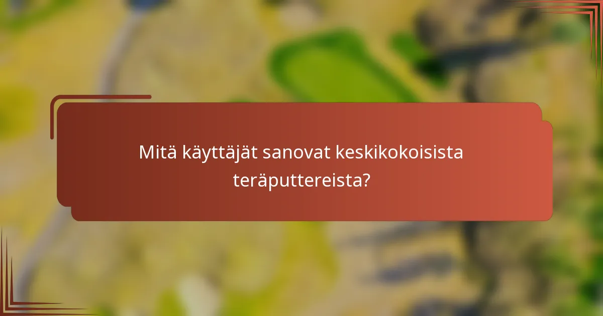 Mitä käyttäjät sanovat keskikokoisista teräputtereista?