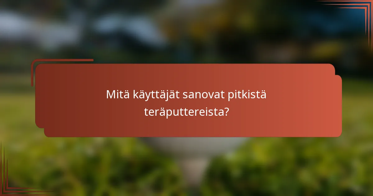 Mitä käyttäjät sanovat pitkistä teräputtereista?