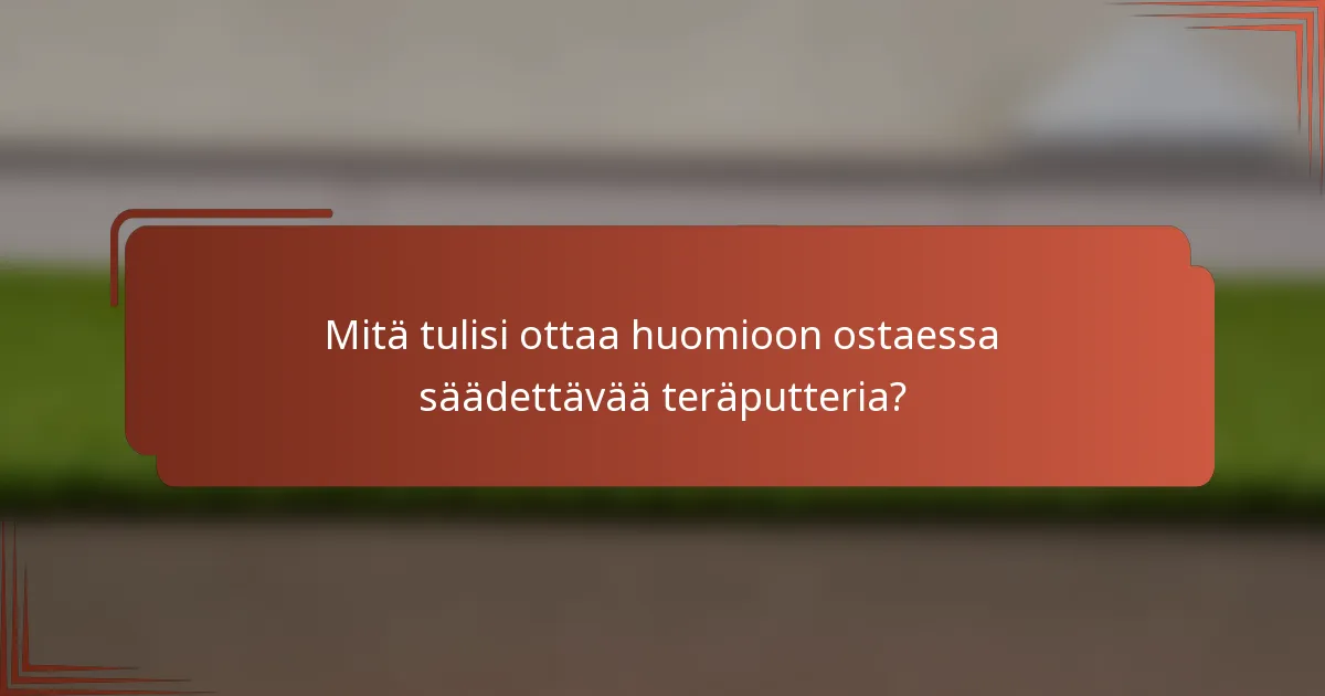 Mitä tulisi ottaa huomioon ostaessa säädettävää teräputteria?