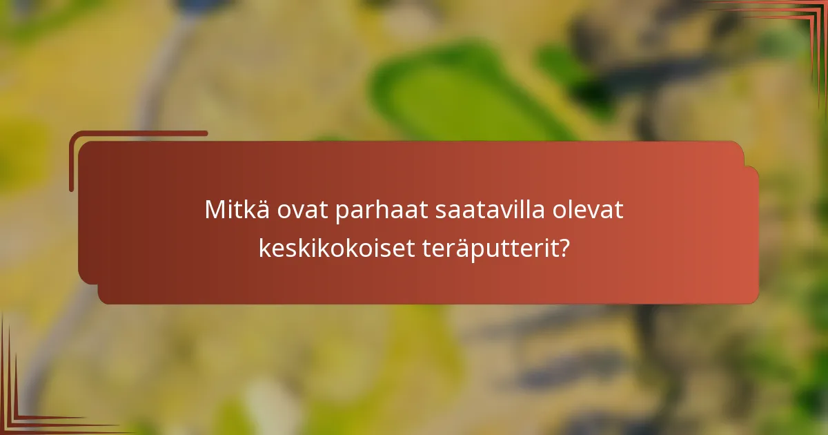 Mitkä ovat parhaat saatavilla olevat keskikokoiset teräputterit?